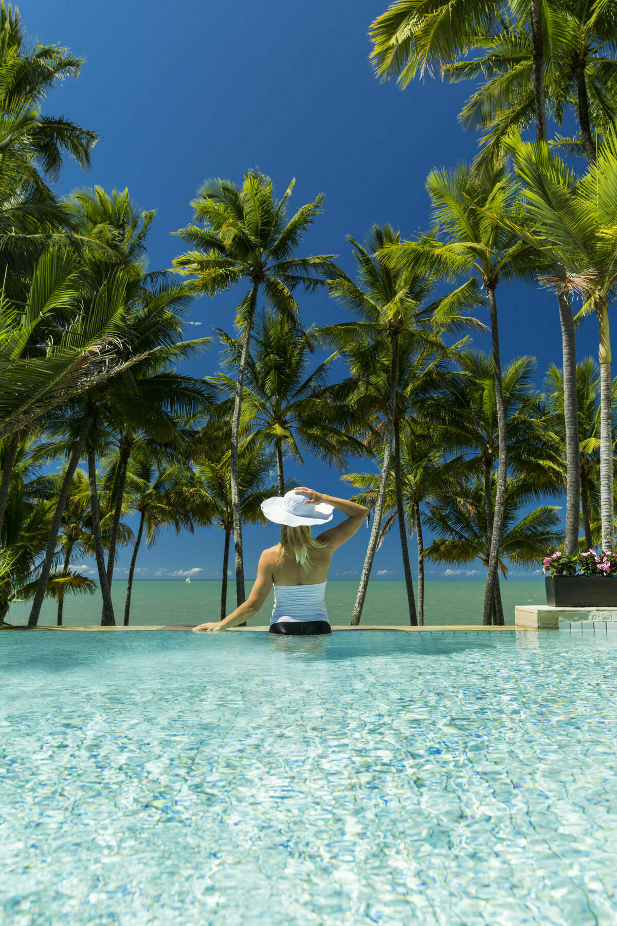 Alamanda Palm Cove By Lancemore Exterior photo